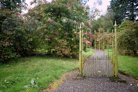 the redundant gate