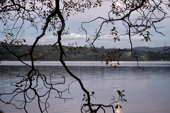 moon on the lake