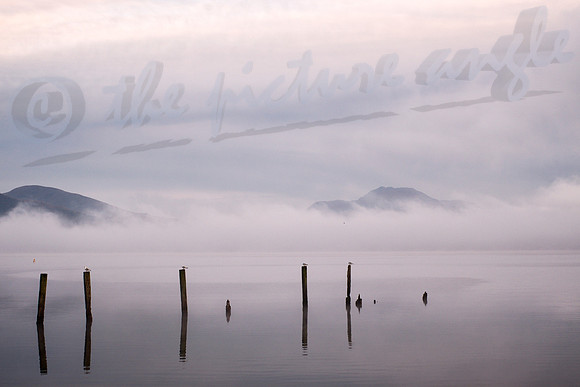 morning fog rising