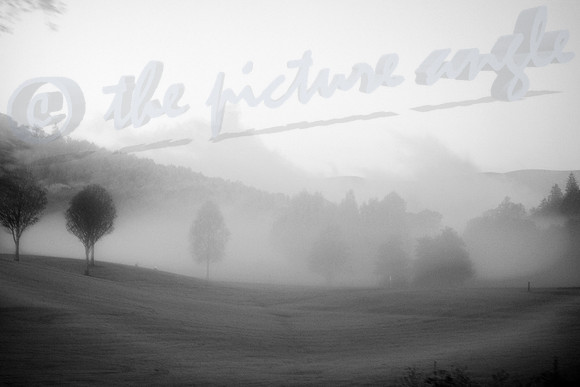 morning mist
