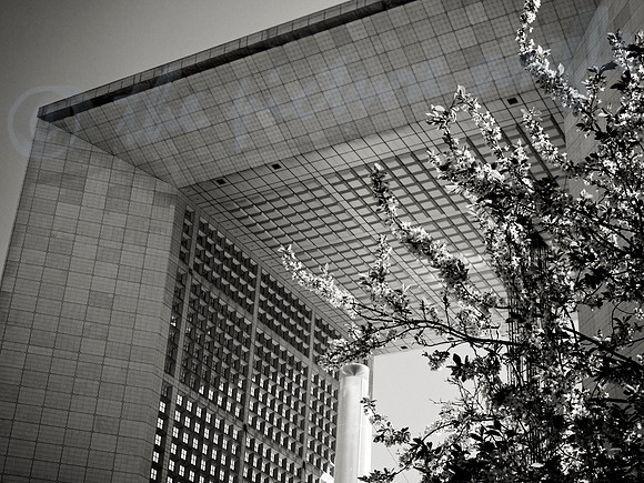Spring at La Défense