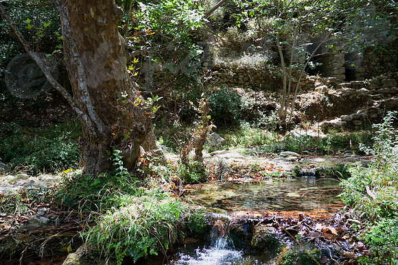mill ruin