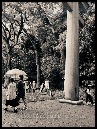 Spring walk