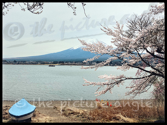 Lake Kawaguchi