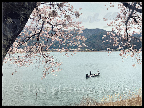 Lake Kawaguchi