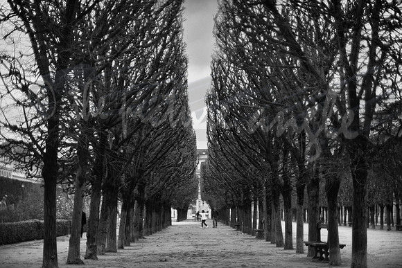 Jardin du Palais Royal
