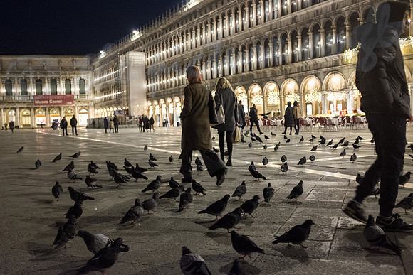 Piazza San Marco and pigeons