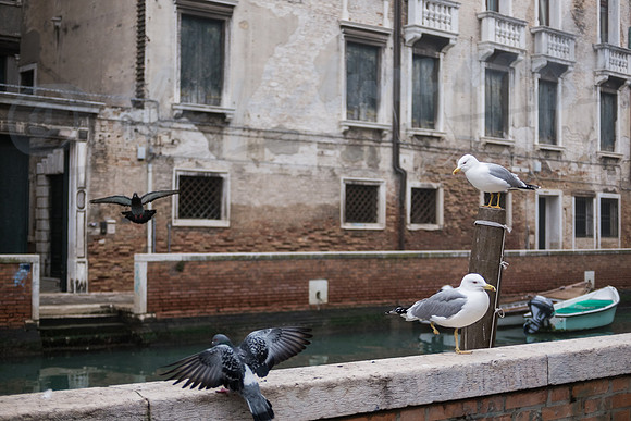 Rio dei Carmini
