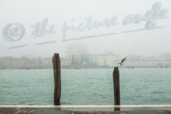 Salute in the fog