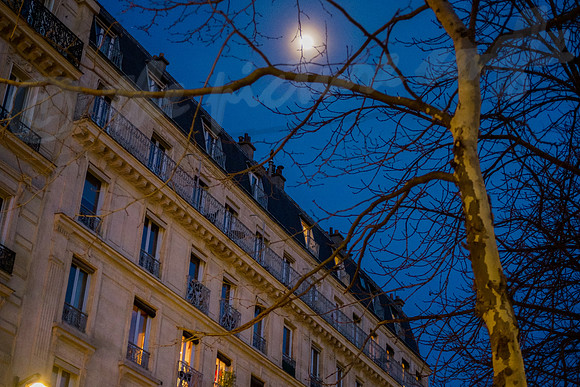 Paris in moonlight