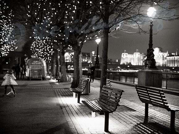 under the twinkling stars