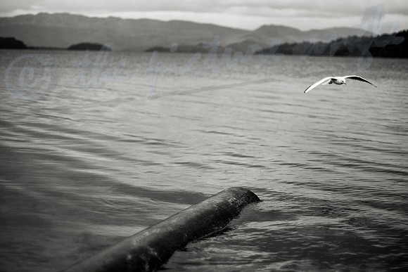 mono impressions